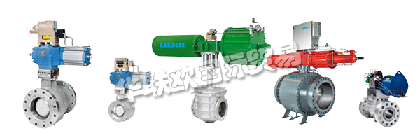 通過LEUSCH的生產(chǎn)計劃,客戶隨時了解其閥門的制造和測試過程。