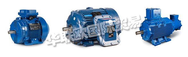 Regal的商業組織與CEMP?Srl一起，通過遍布許多國家的代理商，