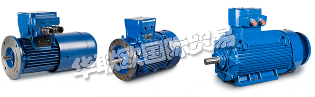 Regal成立于1954年，擁有CEMP?Srl，是意大利首批生產防爆防爆電機的公司之一。