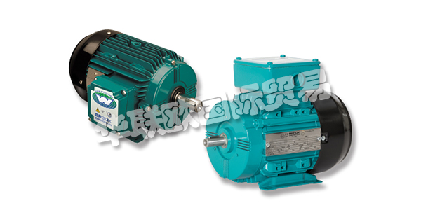 GES公司成立于1972年，當時是Grants Electrical Services(NI)Ltd。，現已發展成為GES集團，一家領先的電氣和機械工程企業，現在為愛爾蘭，英國和歐洲的客戶提供服務。