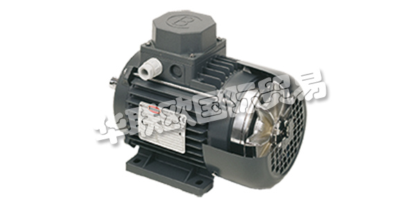 MOTORI BONORA成立于1945年,其業務逐步集中在異步電動機的生產上。 在這些年里,他們努力追隨市場的發展,加強他們制造商的使命,并高度重視產品和服務的質量。