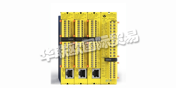 DINA，從友好的鄰里地下室創業到創新領導者。