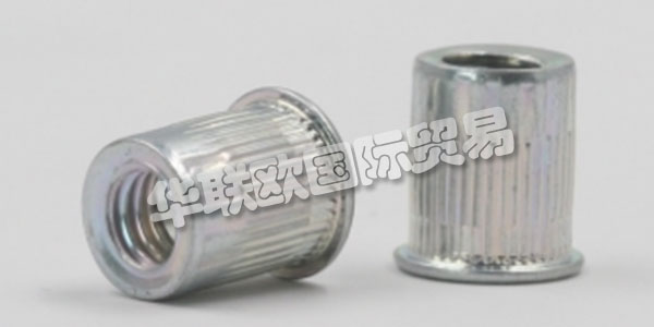 GESIPA始于1955年，博士比爾曼和他的妻子Ibeth比爾曼在法蘭克福創立了一個小公司，公司名字就叫“ GES ellschaft für Internationale PAtentverwertun gmbH”，注冊的企業宗旨是“最初的收購和發明新的制造工藝的商業化在德國和國外“。