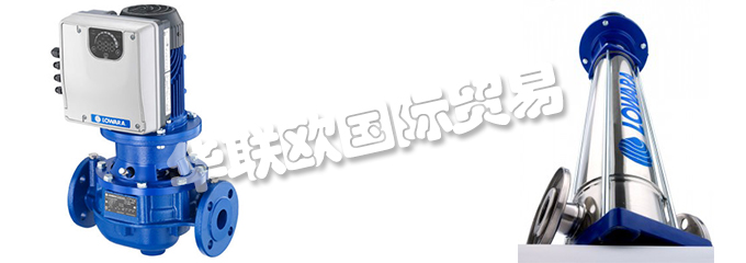 意大利LOWARA是一家專門生產不銹鋼泵的公司，他們提供的產品有：意大利LOWARA泵,、LOWARA水泵、循環器、端吸泵、多級泵、直列式泵、濕轉子循環器、變速泵、冷凝泵、自吸泵、潛水鉆孔泵、潛水污水和污水泵、潛水式脫水泵、外圍泵、泵控制器、驅動器、變頻器、控制器、壓力開關控制器。