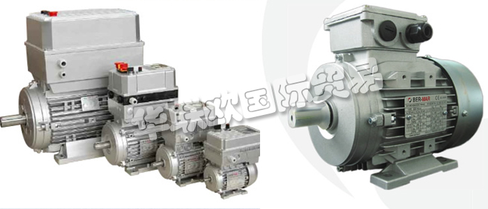 意大利BERMAR公司的主要產品包括：意大利BERMAR電機、BERMAR電動機、異步電機、異步電動機、永磁發動機、逆變器、伺服通風電動機、伺服電動機、工業洗衣機電動機、單相電動機、DRIVEJET鼓風機、高效電機、泵、風扇、工業壓縮機。