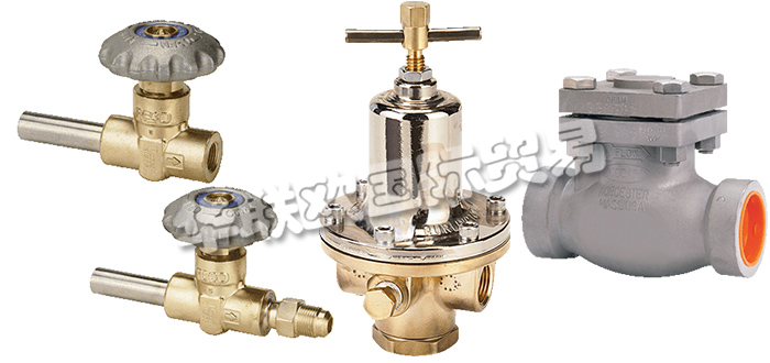 美國REGO公司主要供應：美國REGO閥門,REGO截止閥，低溫閥，止回閥，安全閥，閘閥，分流閥，減壓閥，調壓器等產品。