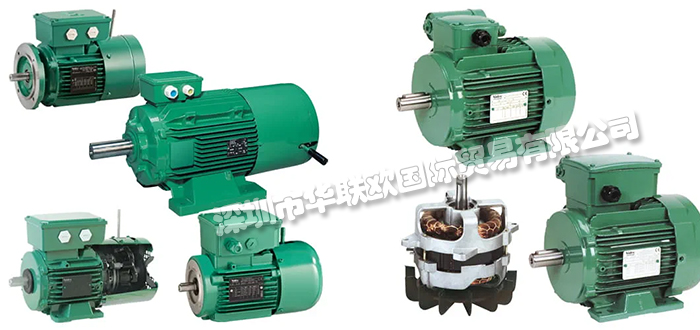 法國利萊森瑪LEROY-SOMER電機(jī)/電動機(jī)產(chǎn)品詳情